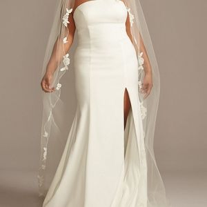 NWT David's Bridal cathedral length veil